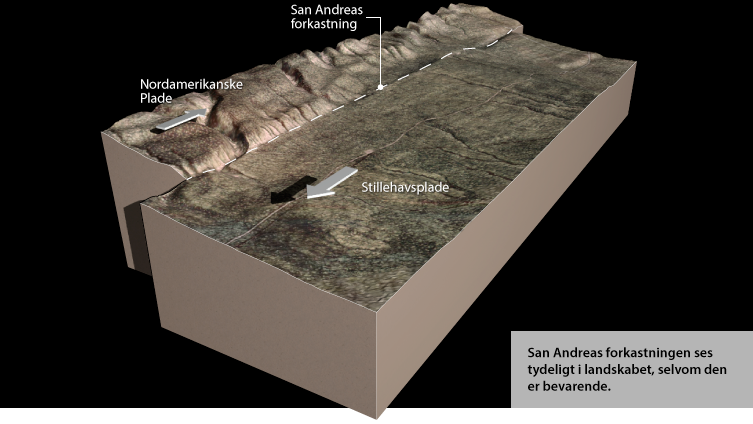 San Andreas forkastning, ved Wallace Creek. En bevarende pladegrænse. Illustration Carsten Egestal Thuesen, GEUS.